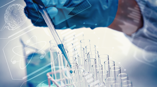 안전한 작업 환경